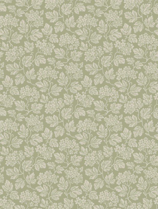 8083_Hagtorn_CloseUp.jpg