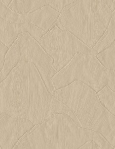 42501 Sculptura Tapeta geometryczna tynk