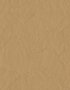 42509 Sculptura Tapeta geometryczna tynk