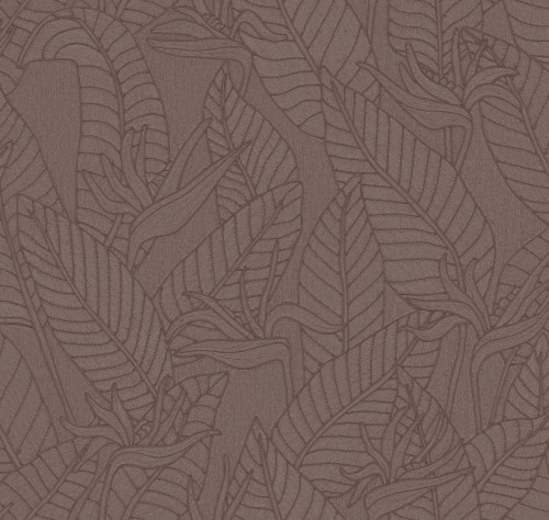 Tali_Strelitzia_60743_Packshot_Print_HR.jpg