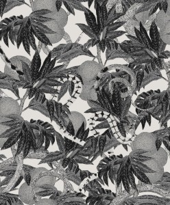 Khroma CAB202 Cabinet of Curiosities Tapeta