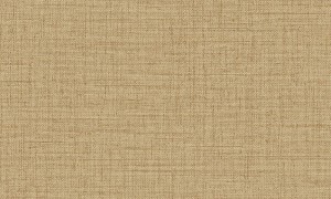 Arte 27007 Curiosa Tapeta