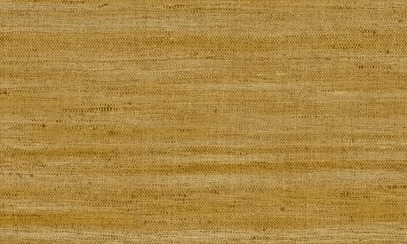 40501.jpg