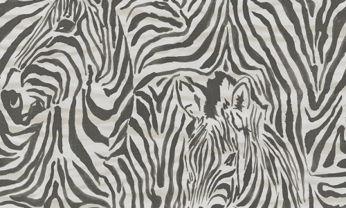 28001.jpg