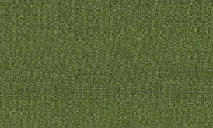 50519.jpg