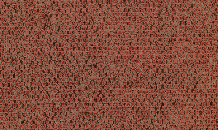 91558.jpg