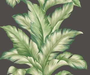 Wallquest TP81200 Maui Maui Tapeta