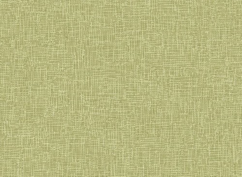 TP81100.JPG
