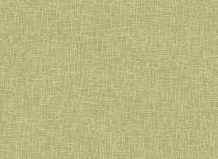 TP81100.JPG