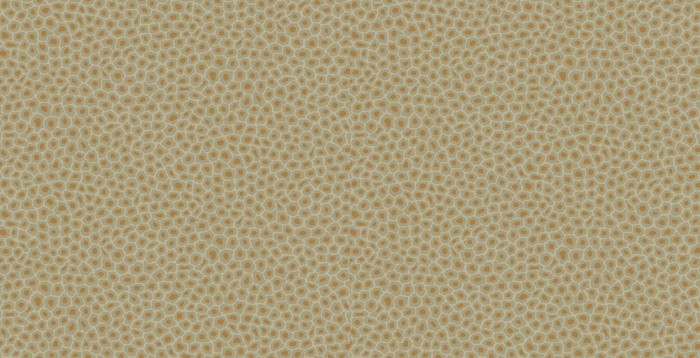 109-6029_r1.jpg