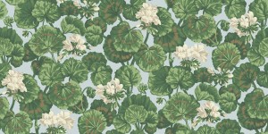 Cole & Son 117/11035 Seville Tapeta szara w białe pelargonie, kwiaty, zielone liście