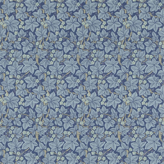 216811.jpg