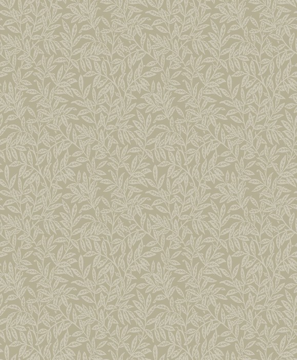 kt20804.jpg