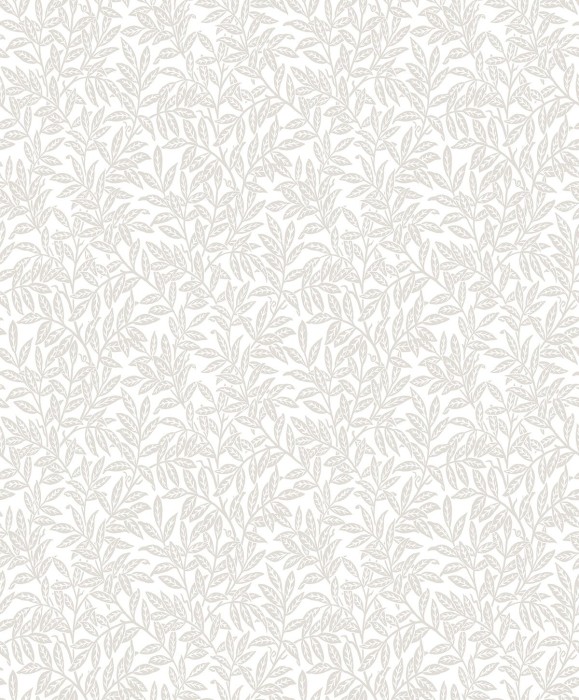 kt20806.jpg