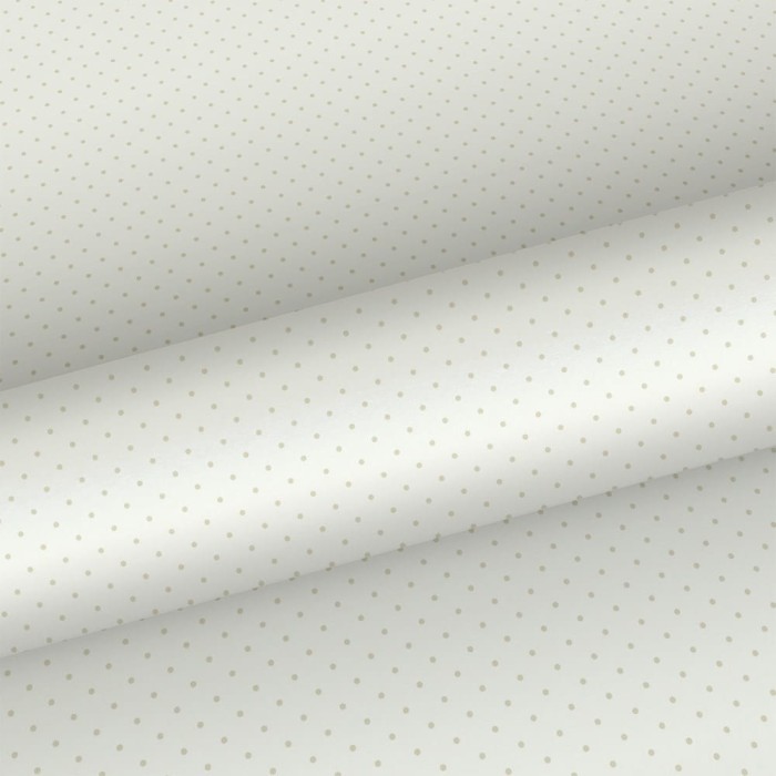 137315_1.jpg