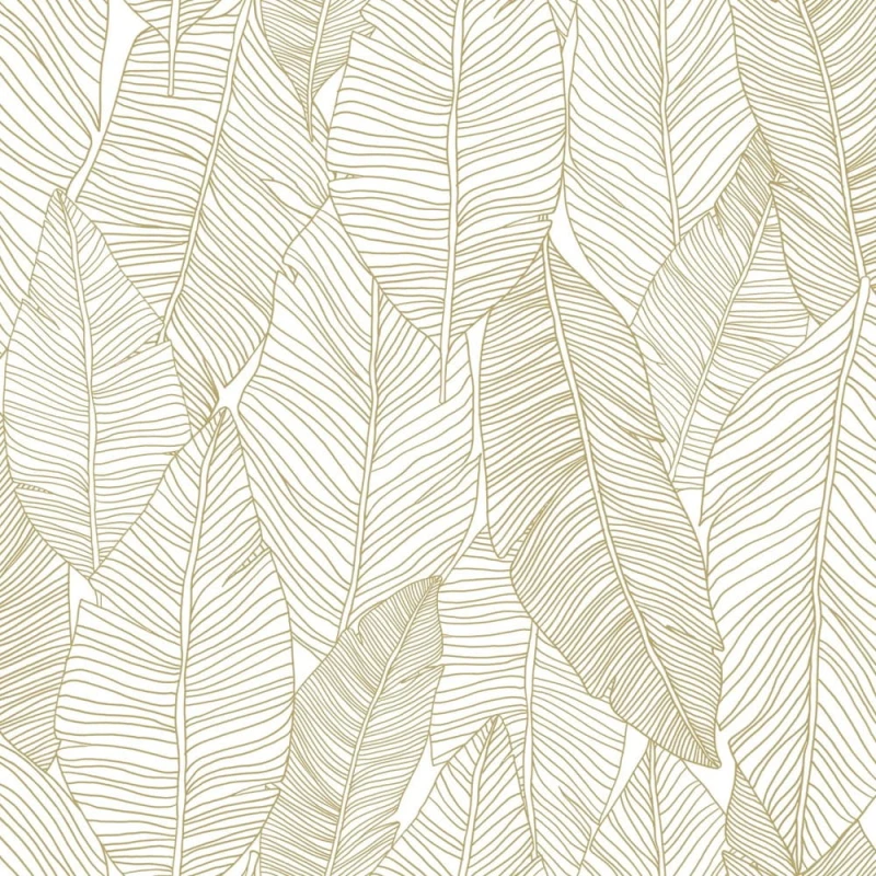 139125.jpg