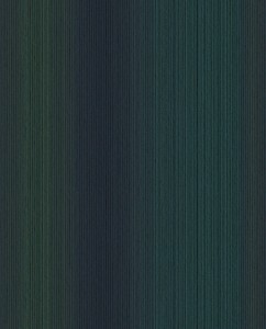 307312.jpg
