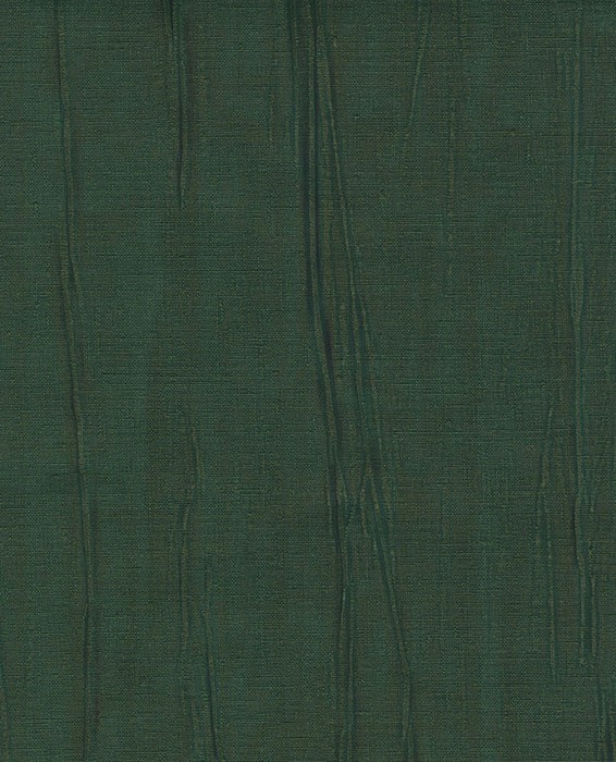 307335.jpg