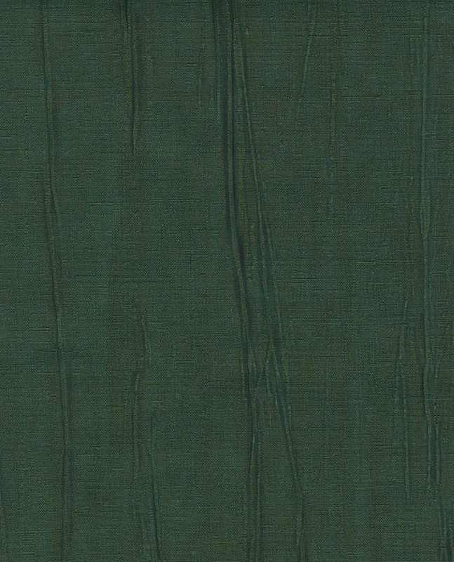 307335.jpg