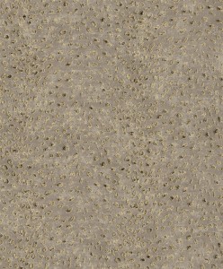 Khroma CAB803 Cabinet of Curiosities Tapeta