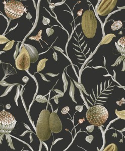 Khroma CAB605 Cabinet of Curiosities Tapeta